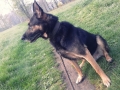 20140412_083546