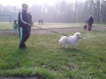 20140412_085804