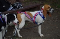IMGP6816_resize.JPG