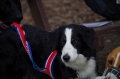 IMGP6818_resize.JPG