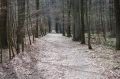 IMGP6825_resize.JPG