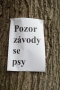 IMGP6829_resize.JPG