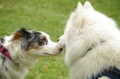 IMGP6836_resize.JPG
