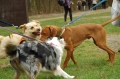 IMGP6840_resize.JPG