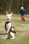 IMGP6854_resize.JPG