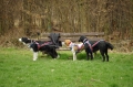 IMGP6862_resize.JPG