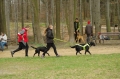 IMGP6863_resize.JPG
