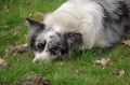 IMGP6871_resize.JPG