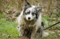 IMGP6872_resize.JPG