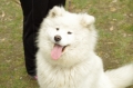 IMGP6878_resize.JPG