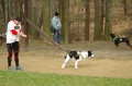 IMGP6882_resize.JPG