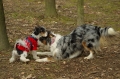 IMGP6890_resize.JPG