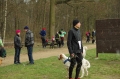 IMGP6906_resize.JPG
