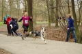IMGP6915_resize.JPG