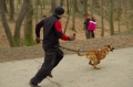 IMGP6950_resize.JPG