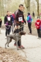 IMGP6952_resize.JPG