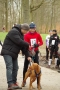 IMGP6963_resize.JPG