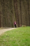 IMGP7015_resize.JPG