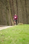 IMGP7016_resize.JPG