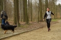 IMGP7039_resize.JPG