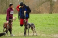 IMGP7042_resize.JPG