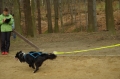 IMGP7058_resize.JPG