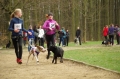 IMGP7082_resize.JPG