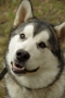 IMGP7099_resize.JPG