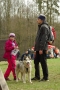 IMGP7109_resize.JPG