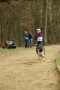 IMGP7113_resize.JPG