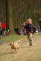 IMGP7133_resize.JPG
