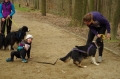 IMGP7137_resize.JPG