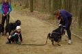 IMGP7138_resize.JPG