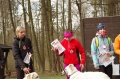 IMGP7149_resize.JPG