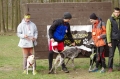 IMGP7175_resize.JPG