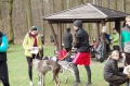 IMGP7186_resize.JPG