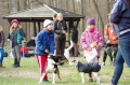 IMGP7212_resize.JPG
