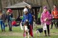 IMGP7213_resize.JPG
