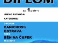 diplom_1misto