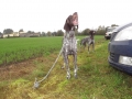 DSCF6640