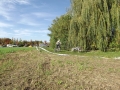 DSCF6663