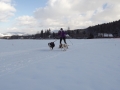 DSCF7192