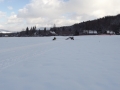 DSCF7195