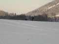 DSCF7206