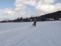 DSCF7209