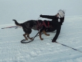 DSCF7219