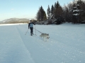 DSCF7237
