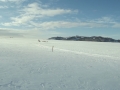DSCF7239