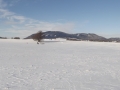 DSCF7256