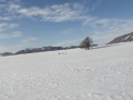 DSCF7258